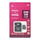 MicroSD pomnilniška kartica PNI 256GB